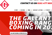Gallant Sports eBay Shop